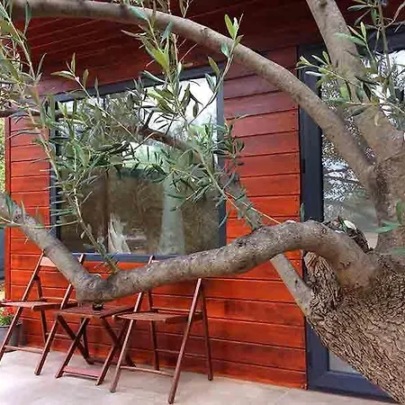 Club Beyaz Ассос